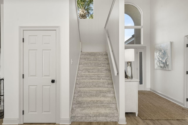 staircase with wood-type flooring