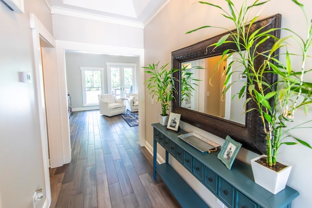 corridor featuring crown molding and dark hardwood / wood-style flooring