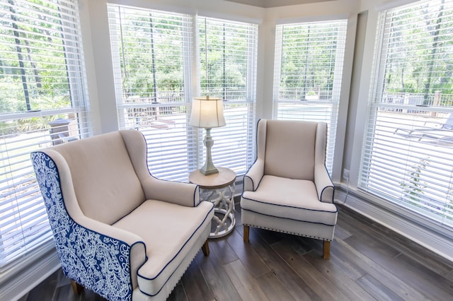 sitting room with a wealth of natural light and wood finished floors