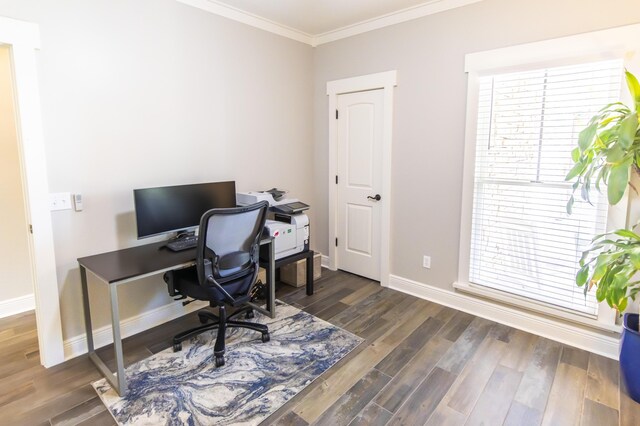 office area with baseboards, dark wood-type flooring, and crown molding