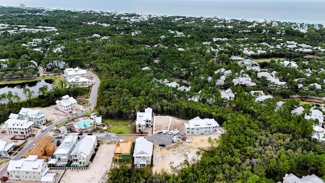 40 String Lily Cv, Santa Rosa Beach, FL 32459 - photo 10