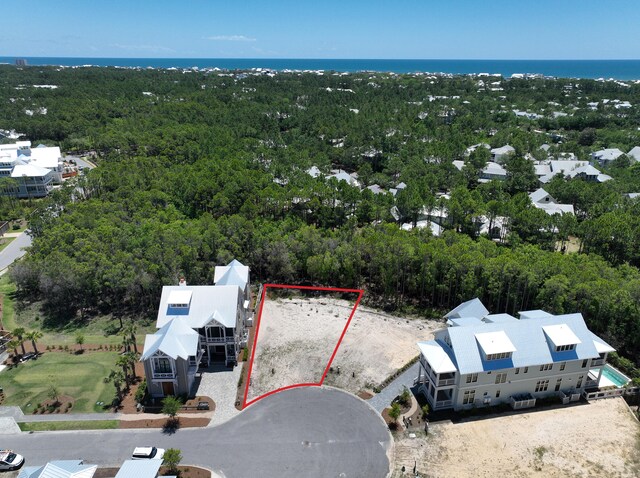 40 String Lily Cv, Santa Rosa Beach, FL 32459 - photo 1
