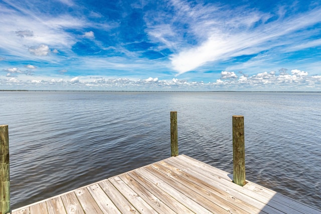 dock area with a water view