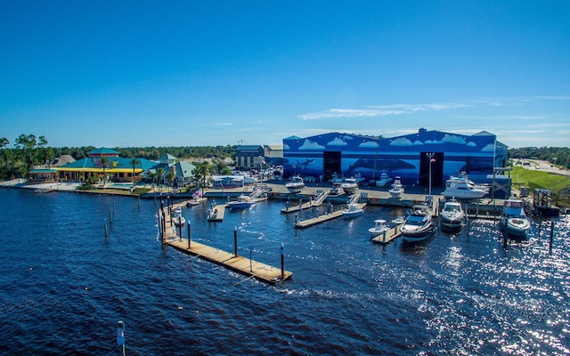 water view featuring a boat dock