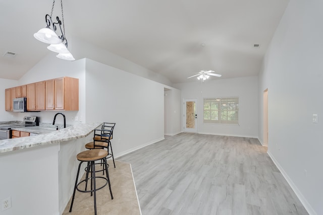 kitchen with appliances with stainless steel finishes, light hardwood / wood-style flooring, decorative light fixtures, and vaulted ceiling