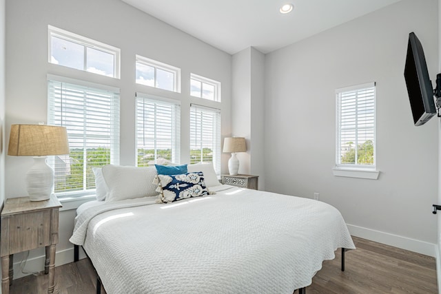 bedroom featuring wood-type flooring