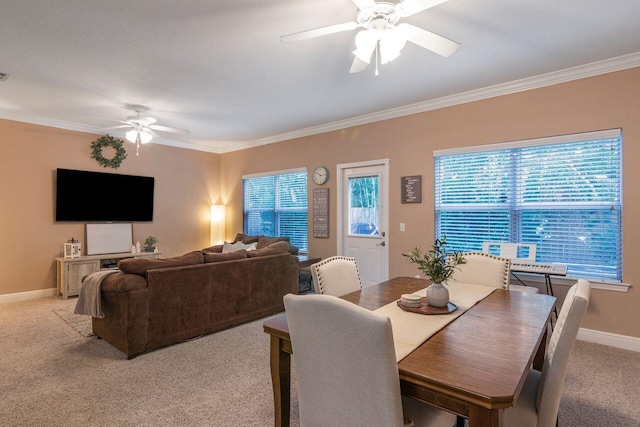 dining area featuring crown molding, carpet, and ceiling fan