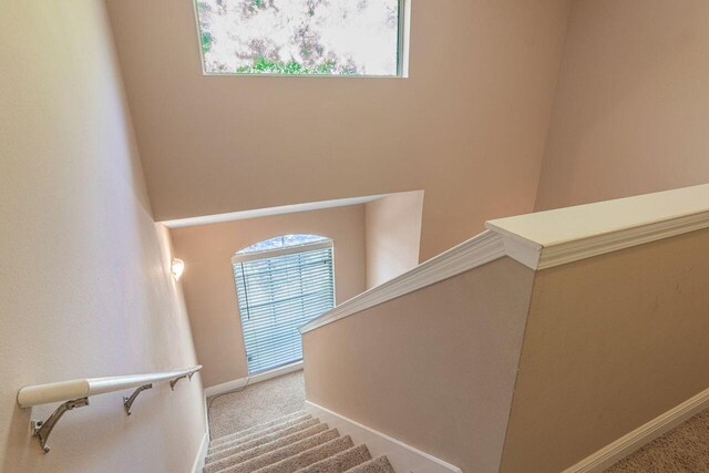 2240 Hadleigh Hills Ct, Navarre, FL 32566 - stairway featuring carpet and baseboards
