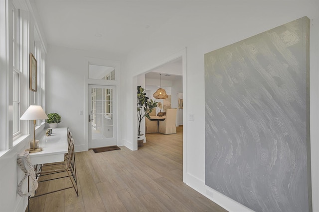 entrance foyer with light hardwood / wood-style floors