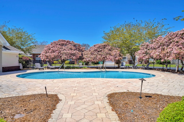 view of swimming pool featuring a patio