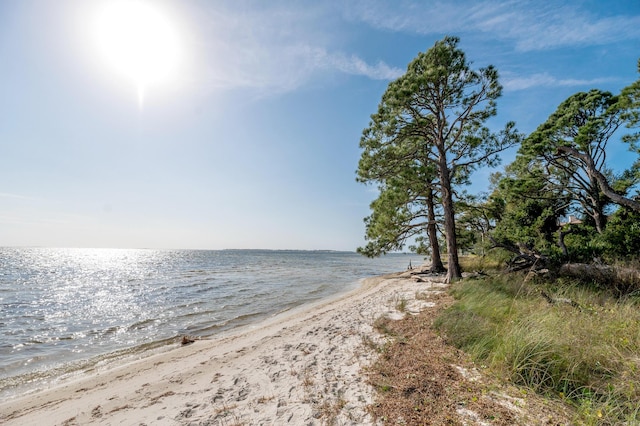property view of water featuring a view of the beach