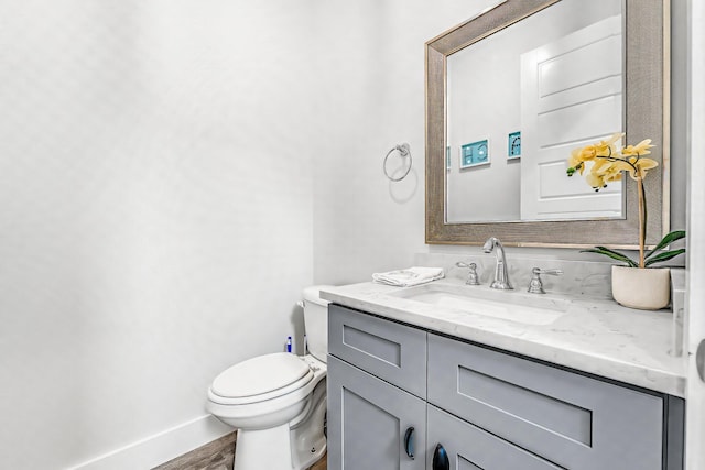 bathroom with wood-type flooring, vanity, and toilet