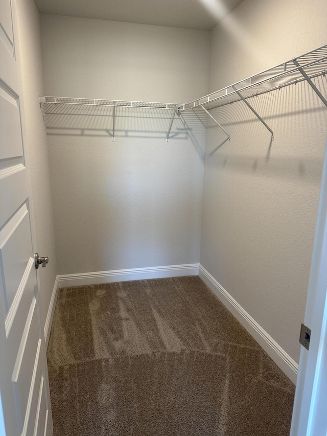spacious closet with carpet flooring
