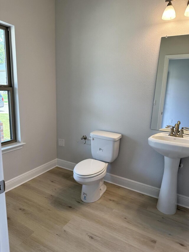 bathroom with toilet and wood-type flooring