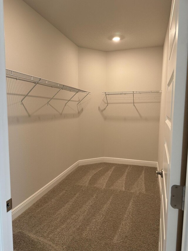 spacious closet with carpet