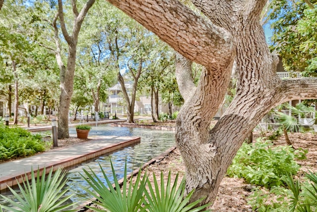 view of property's community featuring a water view