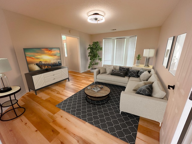 living room with hardwood / wood-style floors