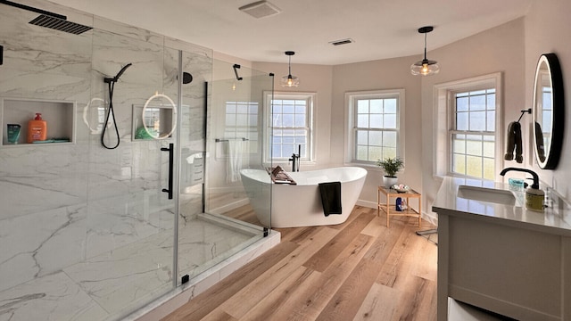 bathroom with vanity, wood-type flooring, and plus walk in shower