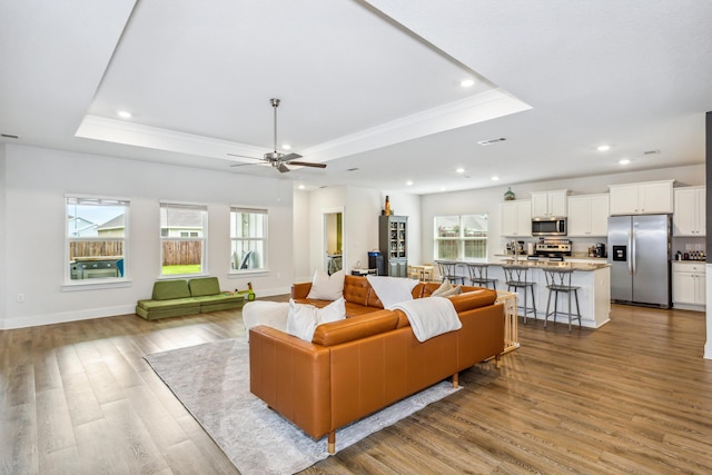 living room with light hardwood / wood-style flooring, a tray ceiling, and a wealth of natural light