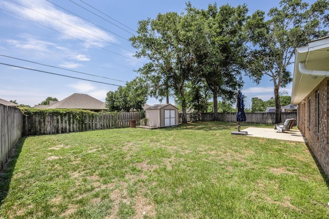 view of yard with a patio and a storage shed