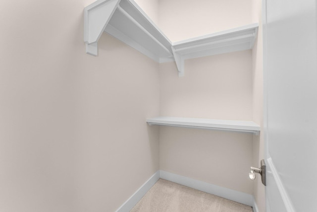 walk in closet featuring light colored carpet