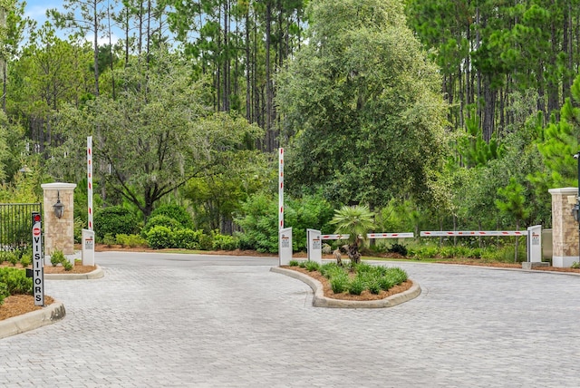 view of home's community featuring curved driveway