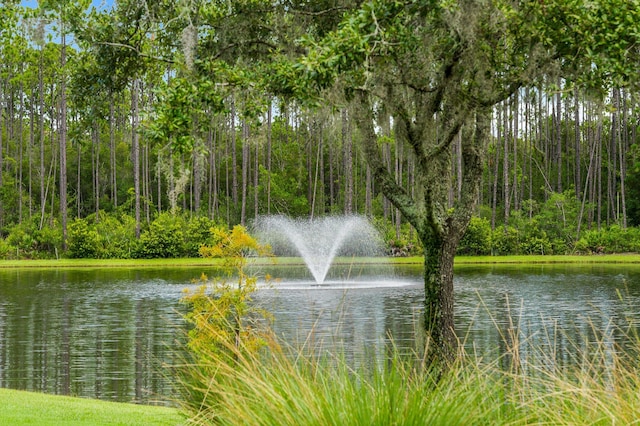 view of water feature featuring a forest view