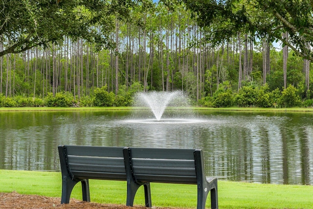 view of water feature