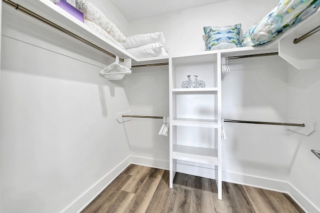 spacious closet with hardwood / wood-style floors