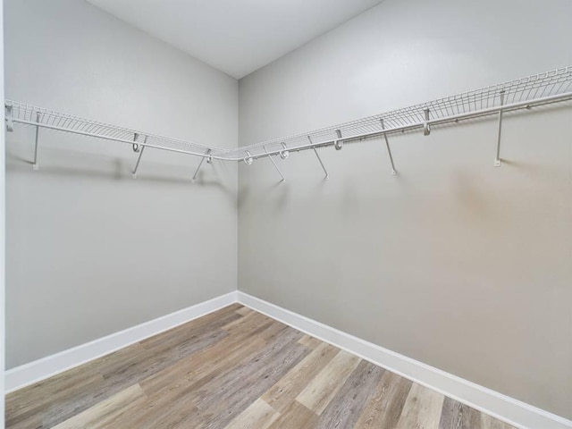 spacious closet featuring light hardwood / wood-style flooring