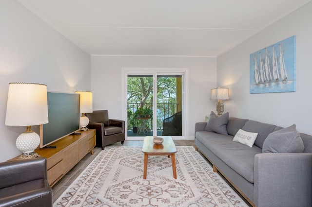 living room featuring light wood-type flooring