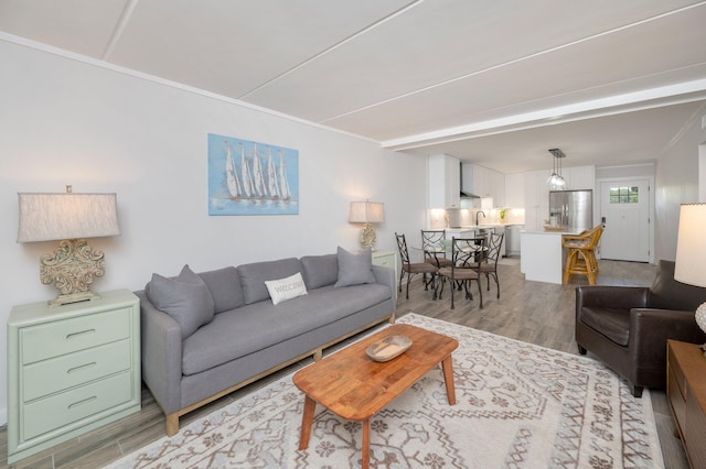 living room featuring sink and light hardwood / wood-style flooring