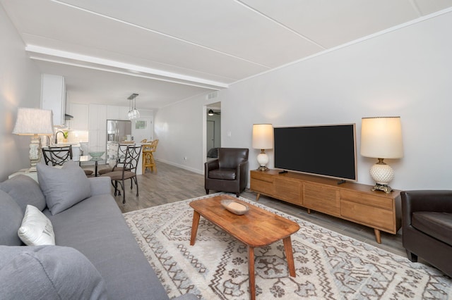 living room featuring light hardwood / wood-style floors and sink