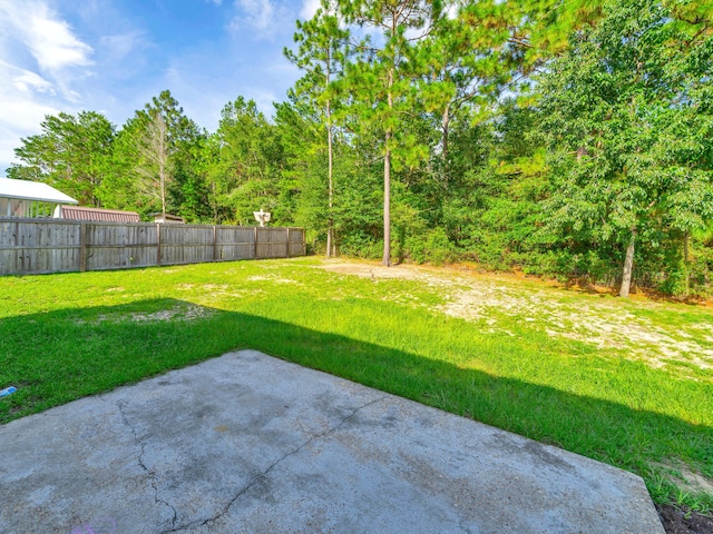 view of yard with a patio area