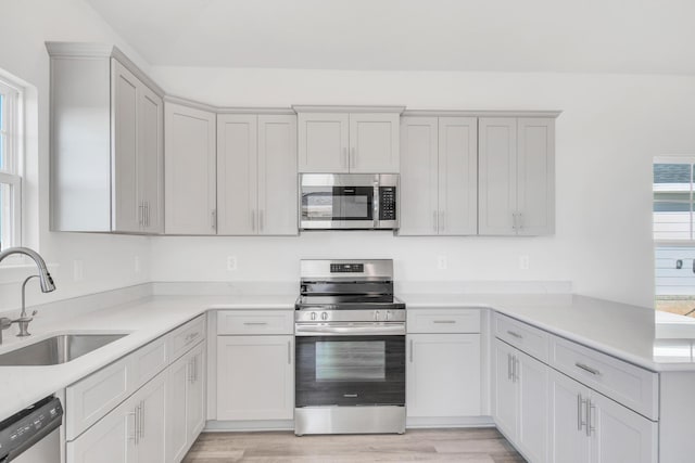 kitchen with sink, light hardwood / wood-style floors, and appliances with stainless steel finishes