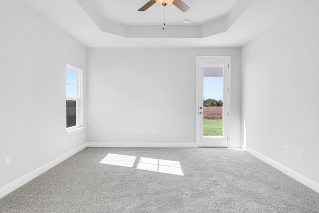 spare room featuring a raised ceiling, carpet floors, and a healthy amount of sunlight