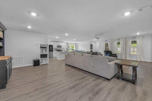 living room featuring light hardwood / wood-style flooring and sink