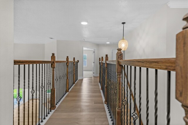 corridor featuring hardwood / wood-style floors