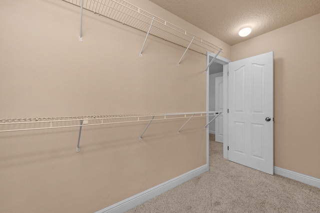 spacious closet featuring carpet floors