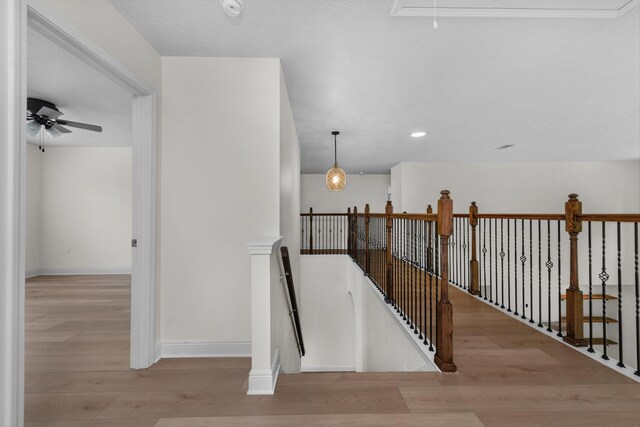 corridor with light wood-type flooring