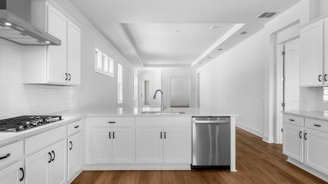 kitchen with stainless steel appliances, hardwood / wood-style floors, sink, a tray ceiling, and wall chimney exhaust hood