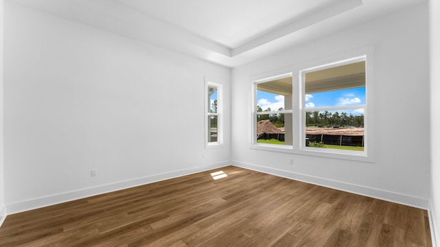 spare room with hardwood / wood-style flooring and a tray ceiling