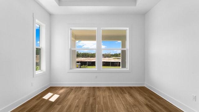 empty room with dark wood-type flooring and a wealth of natural light