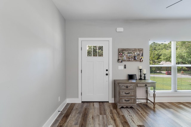 foyer featuring hardwood / wood-style floors