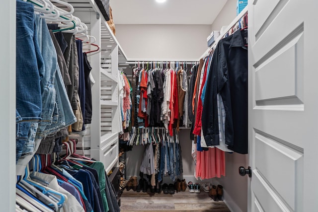 spacious closet with wood-type flooring