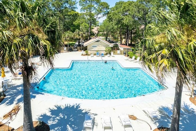 view of swimming pool featuring a patio area