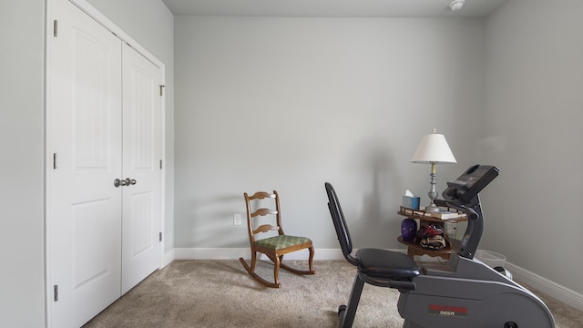 home office featuring carpet flooring