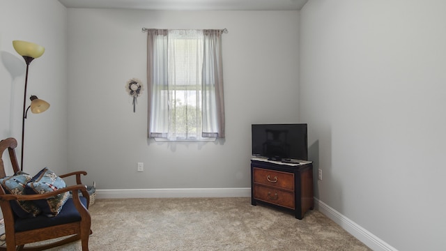 living area featuring light carpet