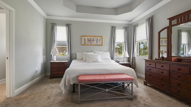 bedroom with crown molding, a raised ceiling, and carpet floors