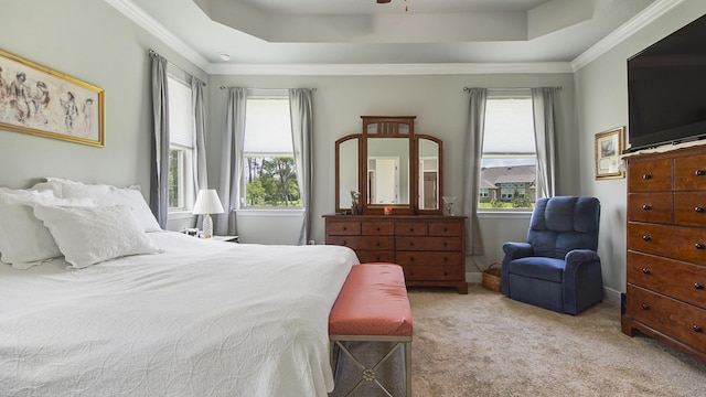 carpeted bedroom featuring crown molding and a raised ceiling